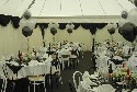 Black and White Marque (click to enlarge)