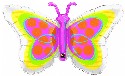 Radiant Butterfly 39 inch Foil (click to enlarge)