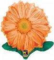 Orange Gerbera Daisy 23 inch Foil Pink Gerbera Daisy also available (click to enlarge)